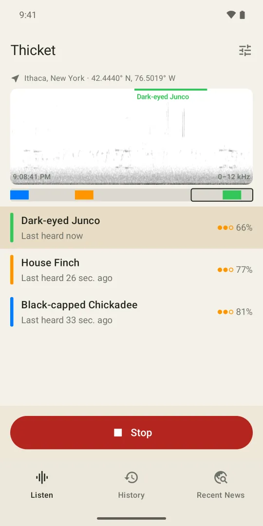 Thicket's Listen screen: a live spectrogram with a bird's call marked, and the birds heard with how sure the app is of each.